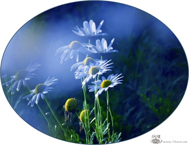 Picture2 [800x600].jpg