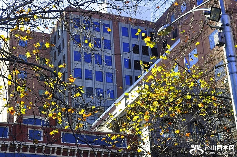 _DSC0010 [800x600].jpg