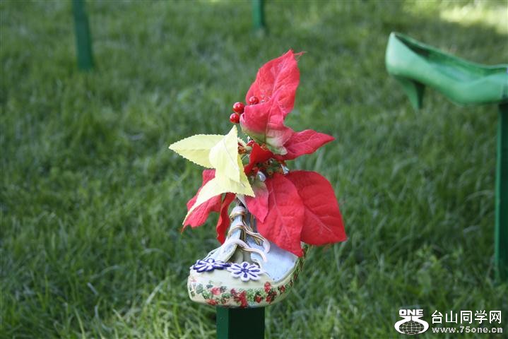 Picture 259 (Small).jpg