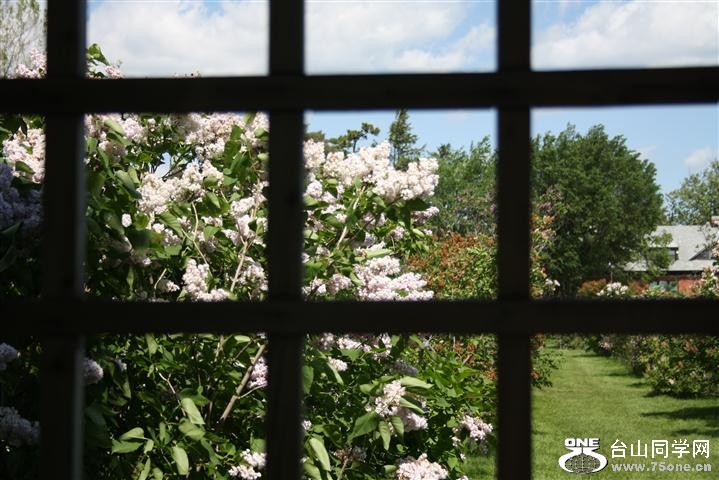 IMG_0072 (Small).JPG