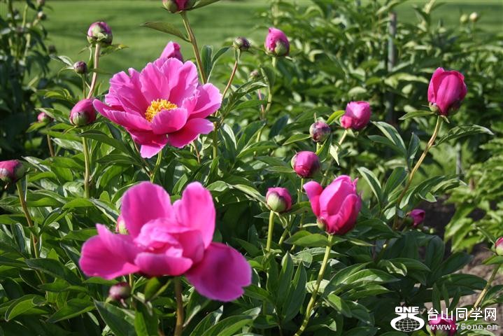 IMG_0018 (Small).JPG