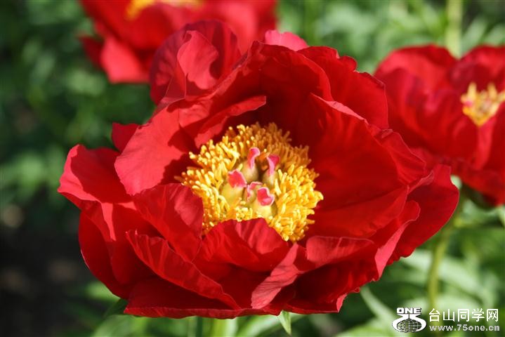 IMG_0011 (Small).JPG