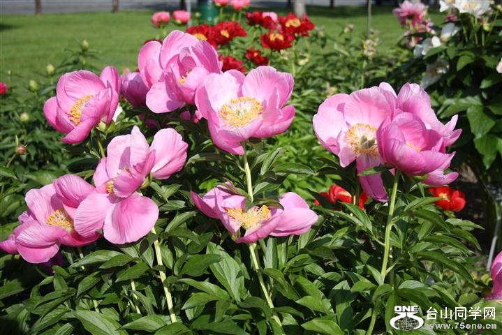 IMG_0006 (Small).JPG