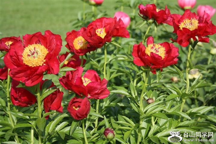 IMG_0007 (Small).JPG