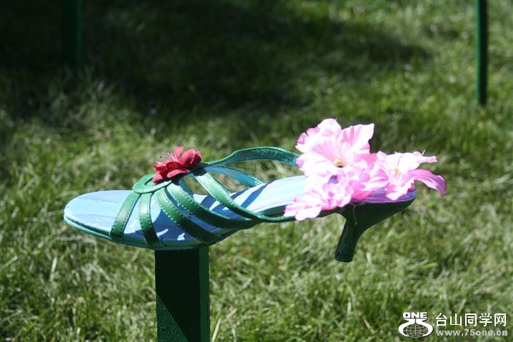 Picture 262 (Small).jpg