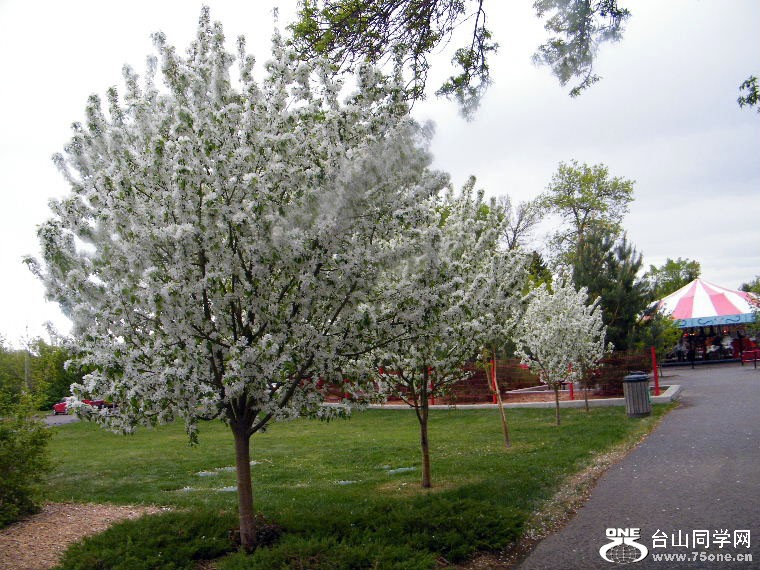 DSCF9419=0.jpg