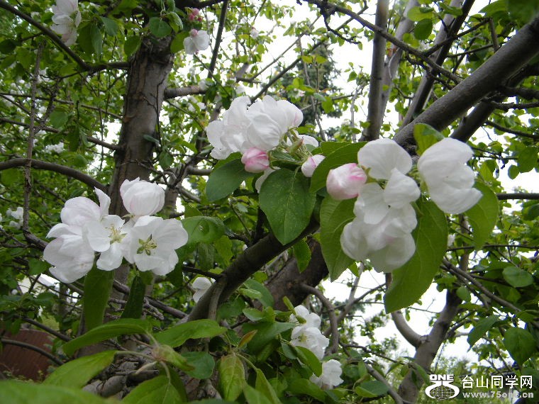 DSCF9319.JPG