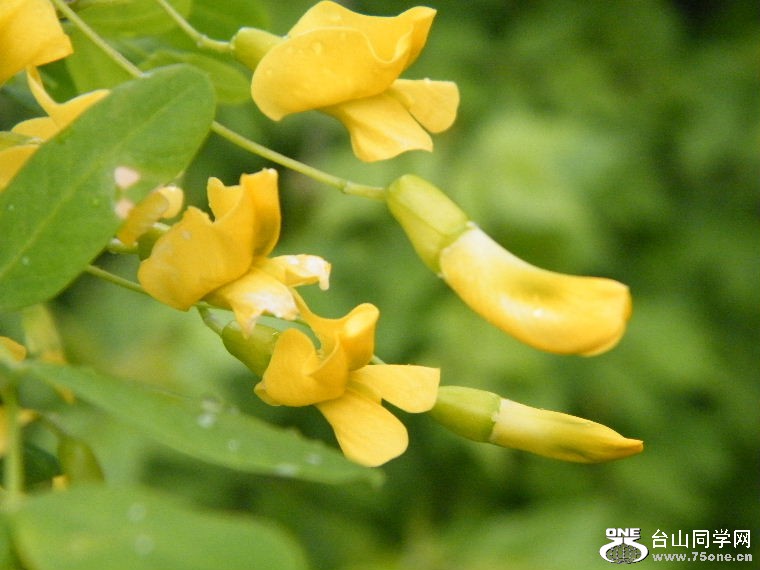 DSCF9483.JPG