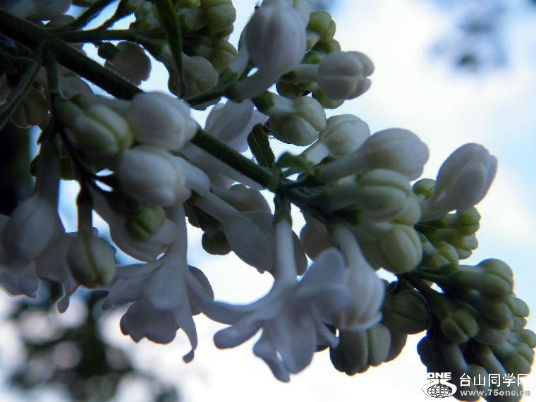 DSCF9508=0.jpg