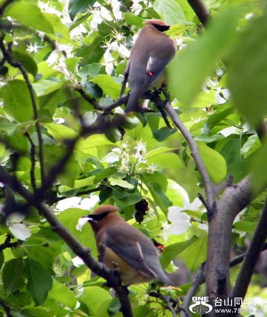 DSCF9614=0.jpg