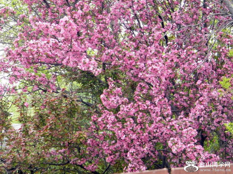 DSCF9317=0.jpg