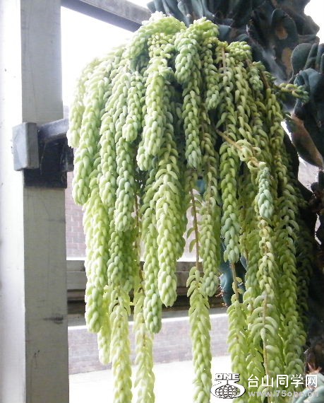 DSCF9369.JPG