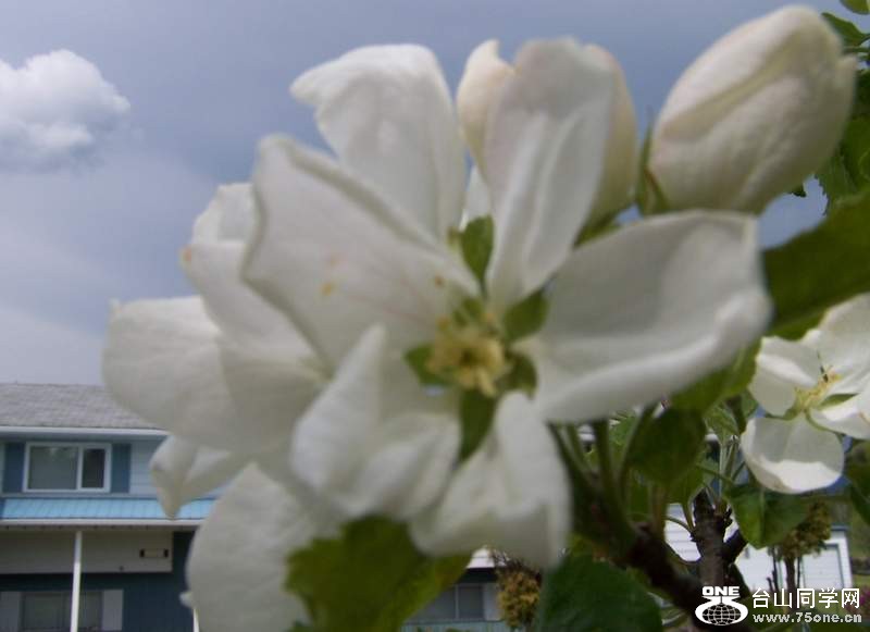 2010 088.jpg