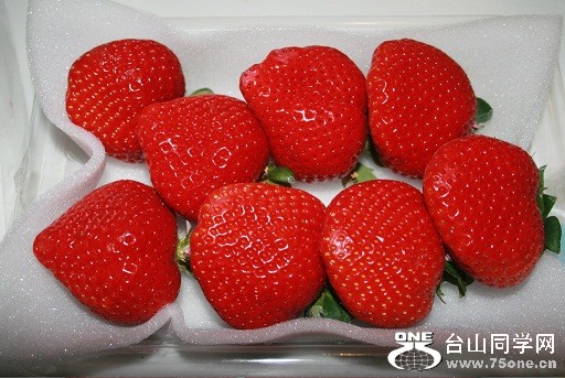strawberry[1].jpg