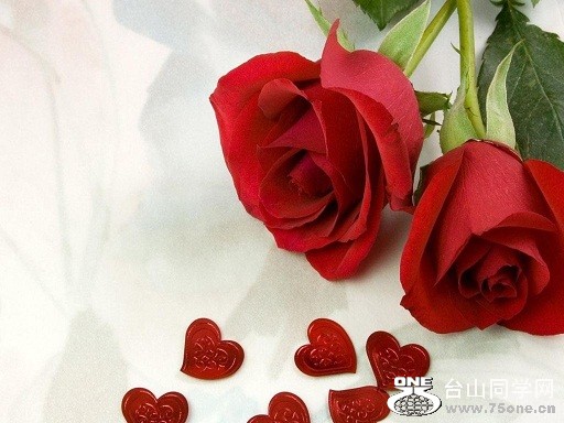 Roses-Love[1].jpg