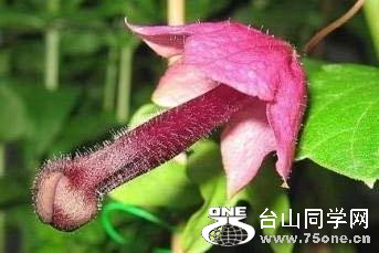 9.֪(S֪NQ....).jpg