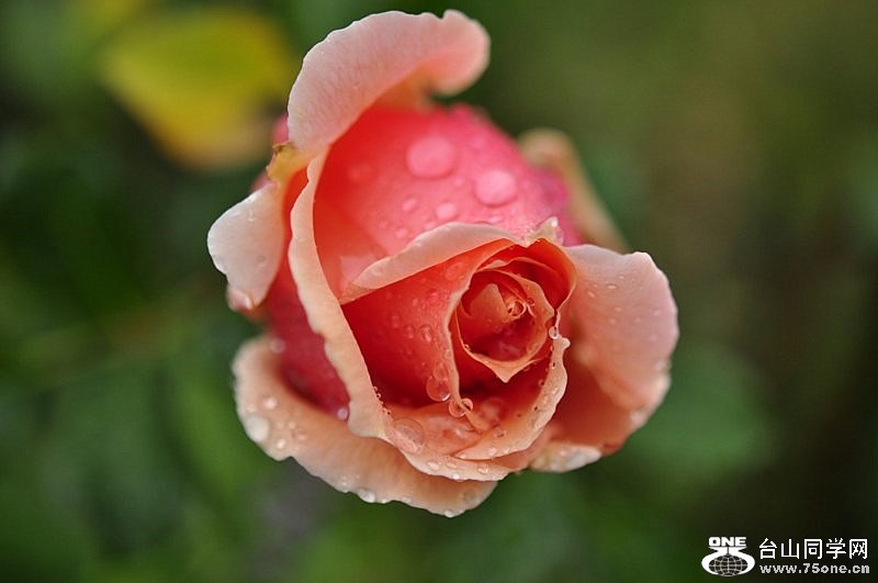 159_6619_7c9ac5a330dc87a[1].jpg