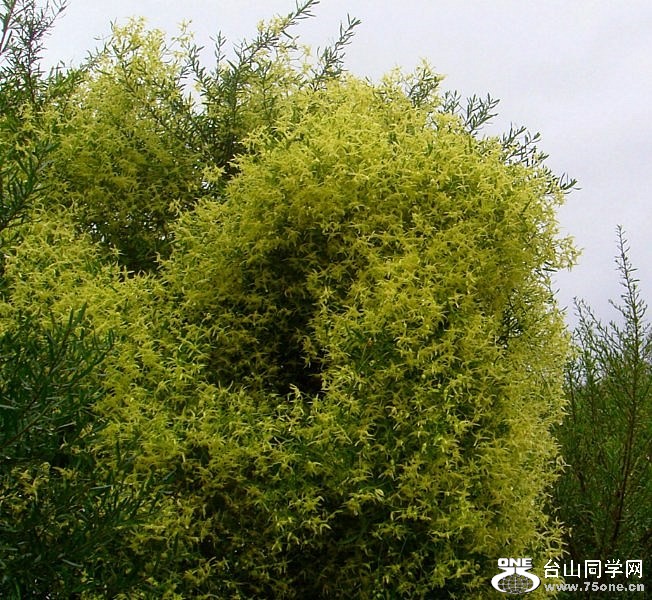 DSC07552 [800x600].jpg