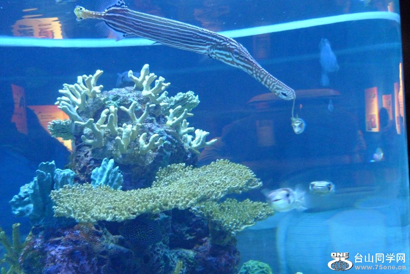 P1040446.JPG
