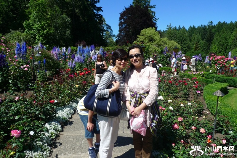 P1040517.JPG