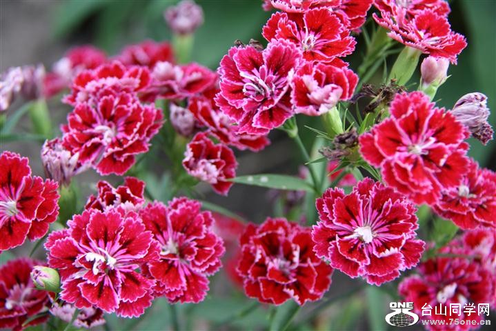 IMG_0237 (Small).JPG