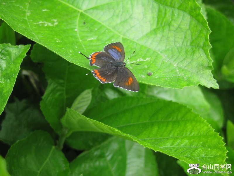 2011.7.18 021.jpg