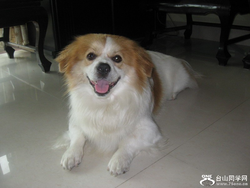2011.7.17» 006.jpg