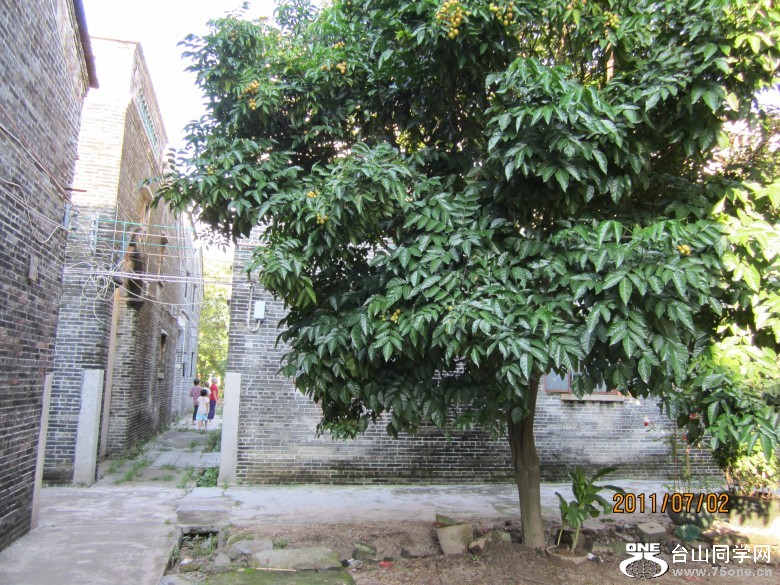 㳡 139_conew1.jpg