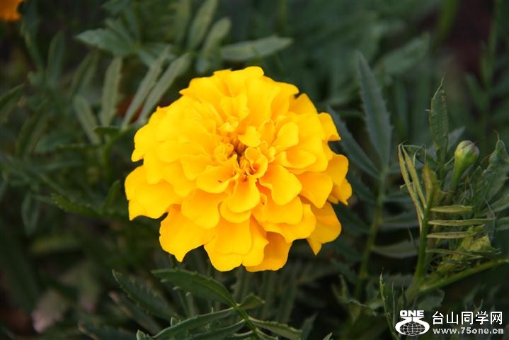 IMG_0469 (Small).JPG