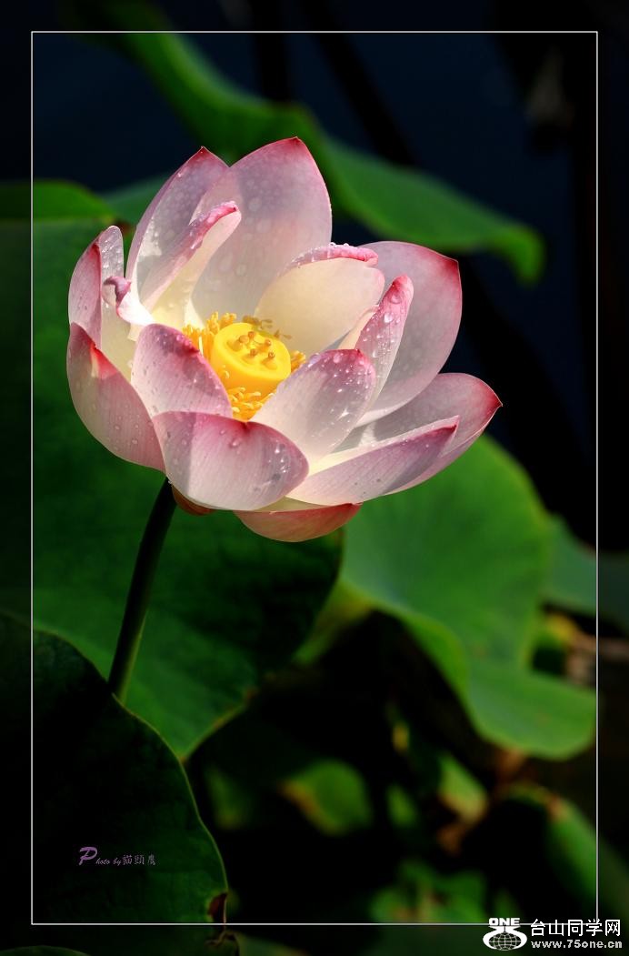 �}�u -24 379cc.jpg