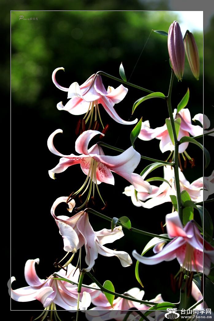 �}�u -24 496c.jpg