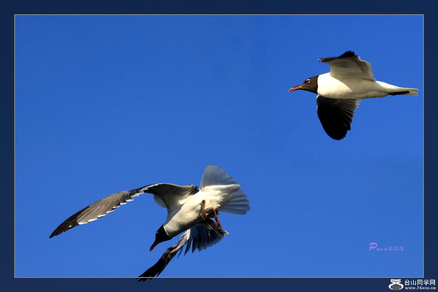 �}�u -�}�u -�}�u -IMG_3991ccv.jpg