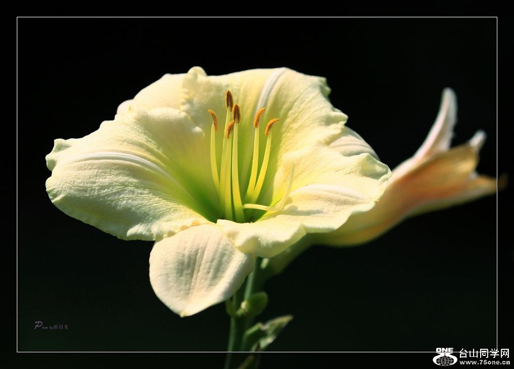 �}�u -24 515c.jpg