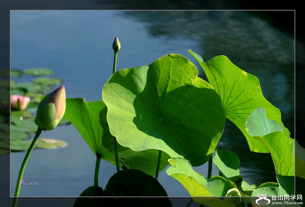 �}�u -��Ƭ 044c.jpg