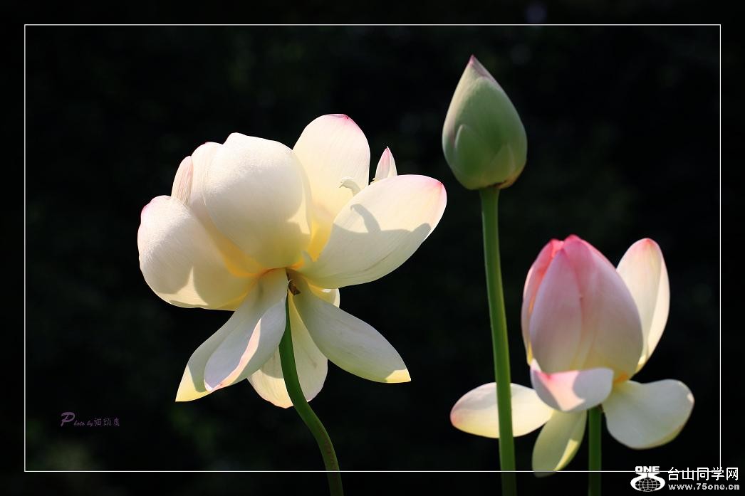 �}�u -IMG_4604cc.jpg