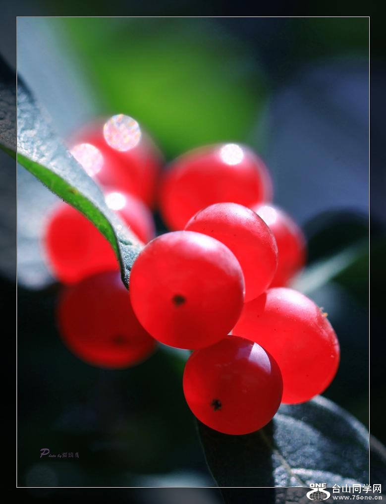 �}�u -IMG_4208cc.jpg