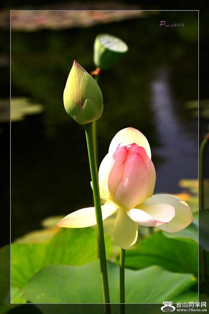 �}�u -IMG_4597cc.jpg