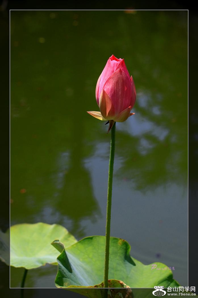 �}�u -IMG_4544cc.jpg