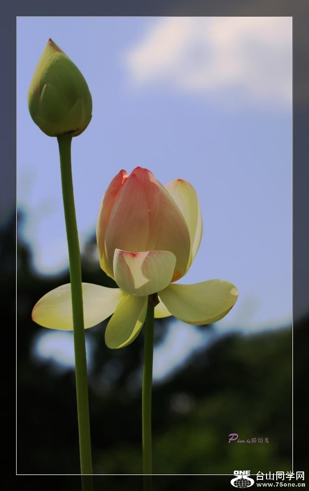 �}�u -IMG_4615cc.jpg