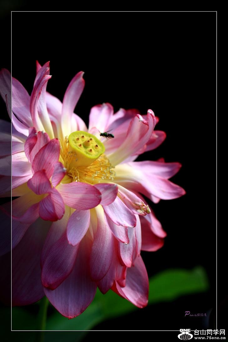 �}�u -24 281c.jpg