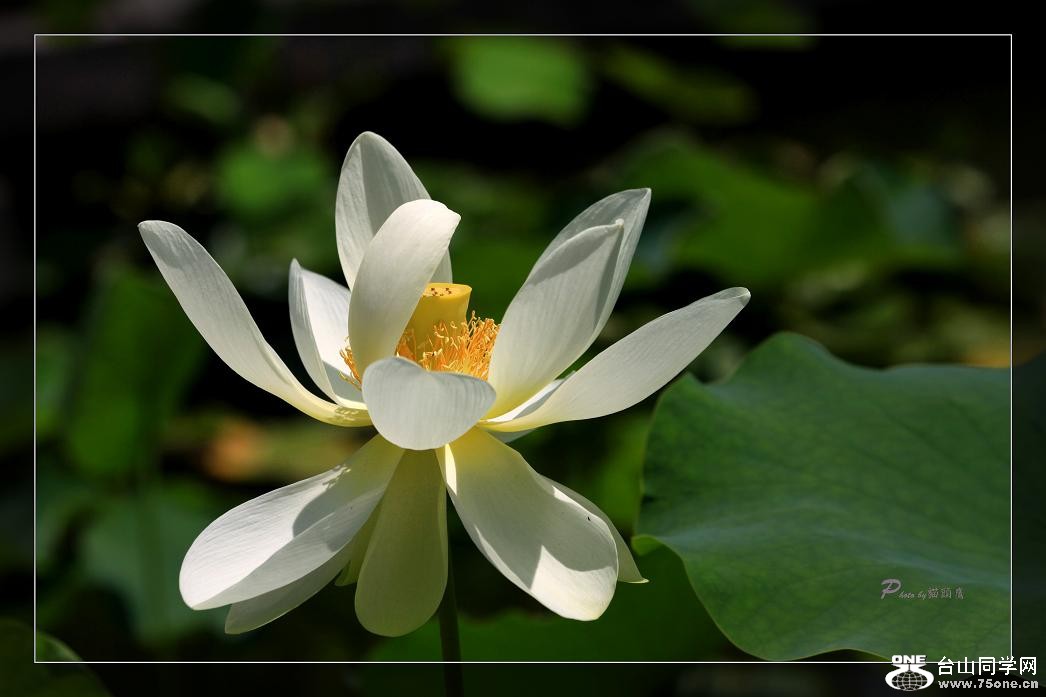 �}�u -IMG_4456cc.jpg