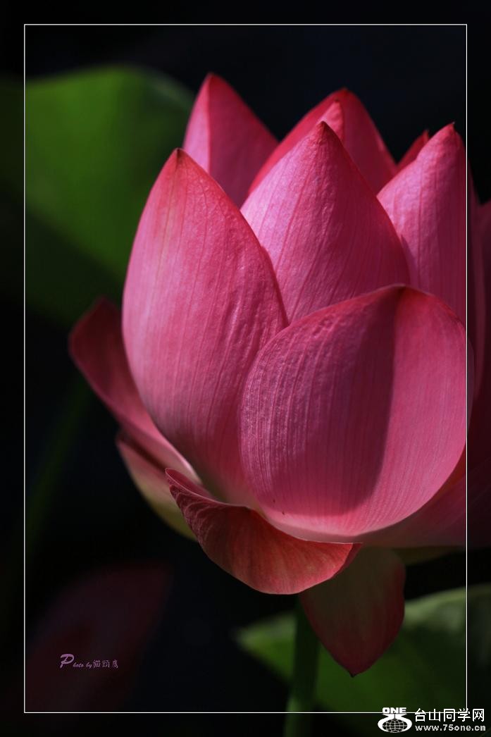 �}�u -��Ƭ 541c.jpg