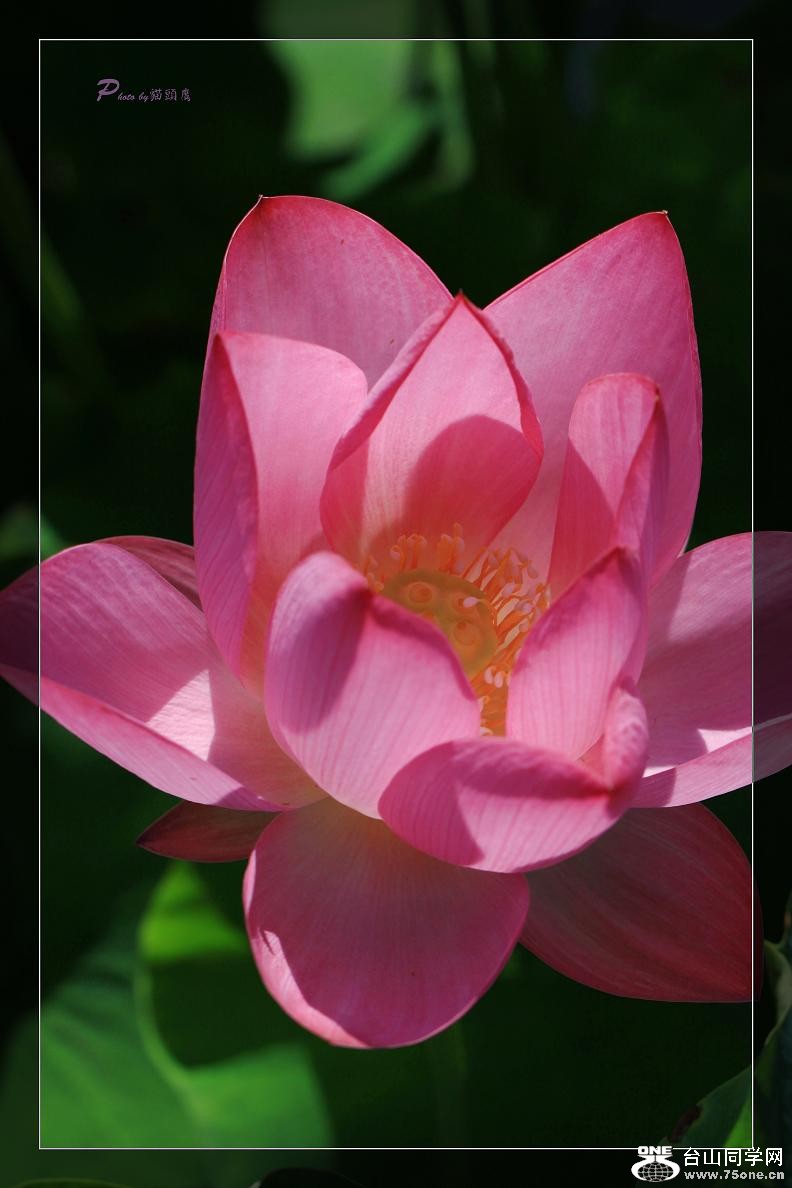 �}�u -��Ƭ 414cc.jpg