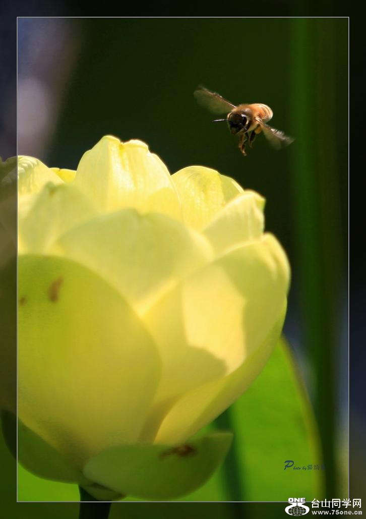 �}�u -��Ƭ 226c.jpg