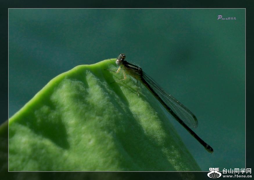 �}�u -��Ƭ 500c.jpg