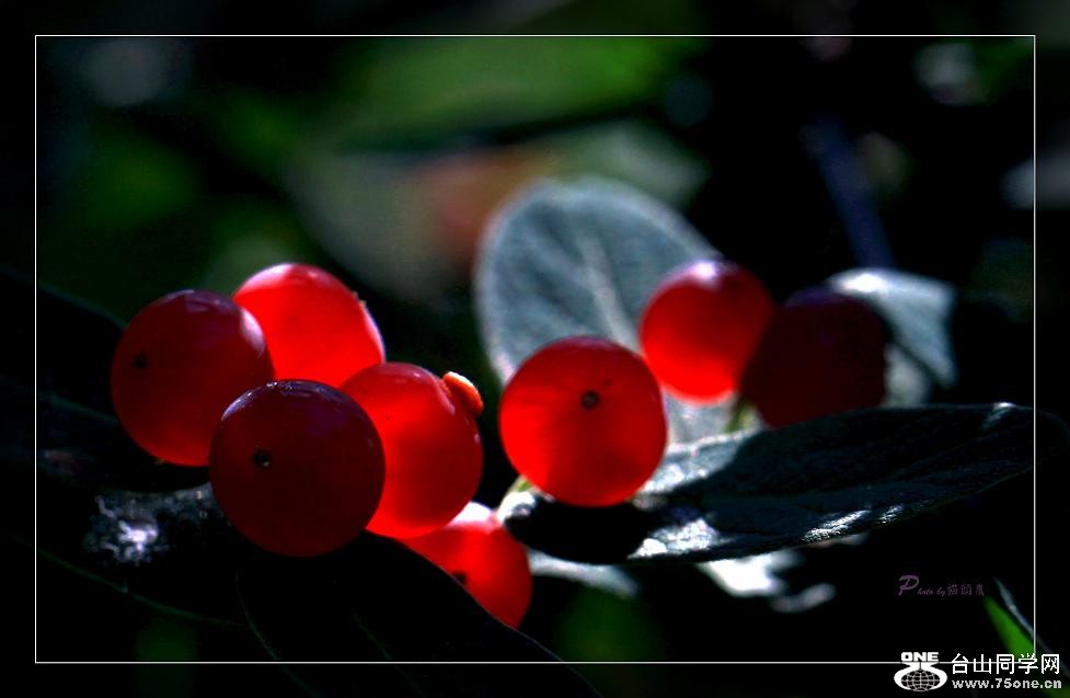 �}�u -IMG_4203c.jpg