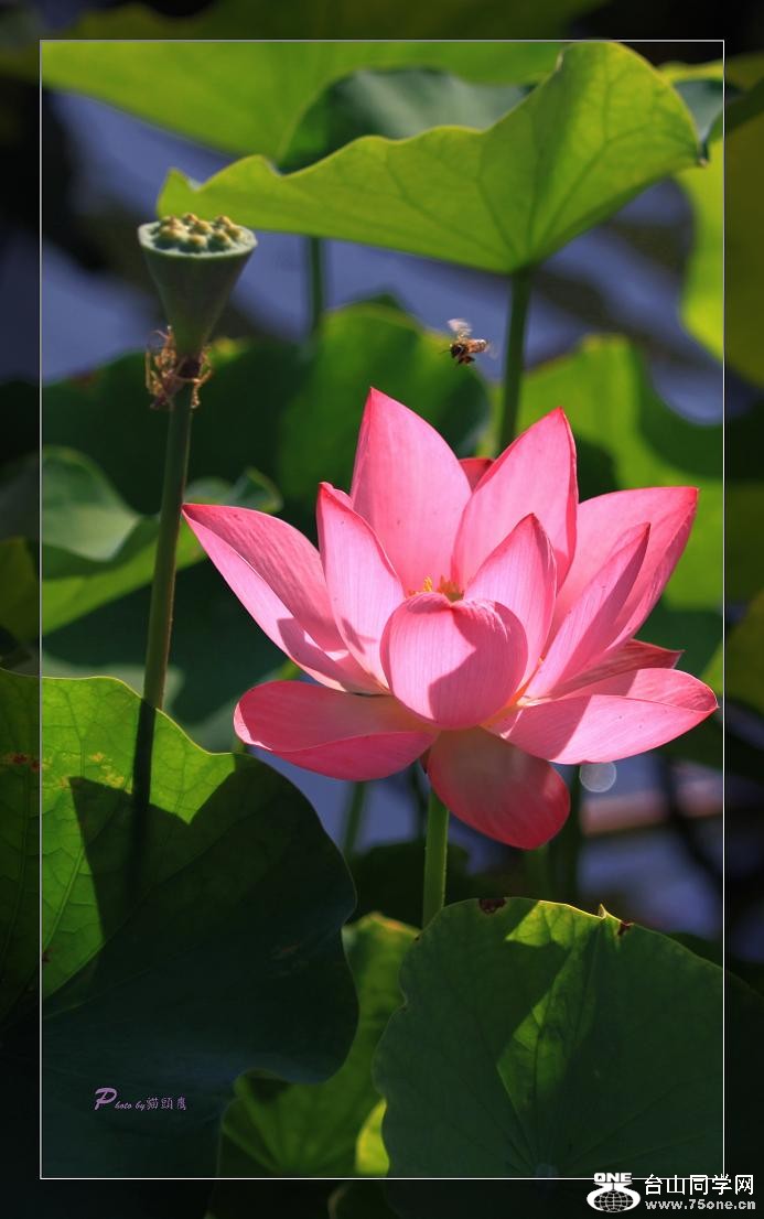 �}�u -��Ƭ 087c.jpg