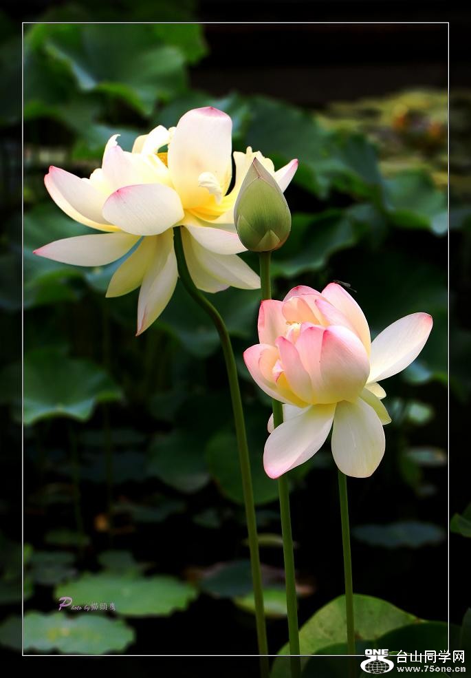 �}�u -IMG_4564cc.jpg