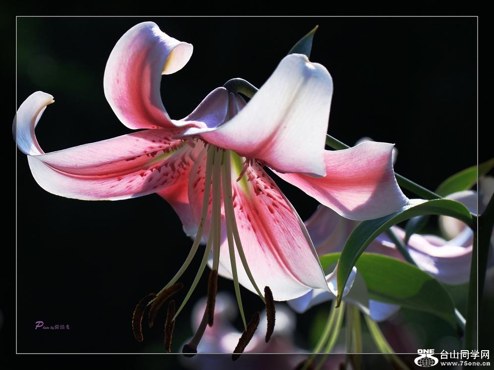 �}�u -24 462c.jpg