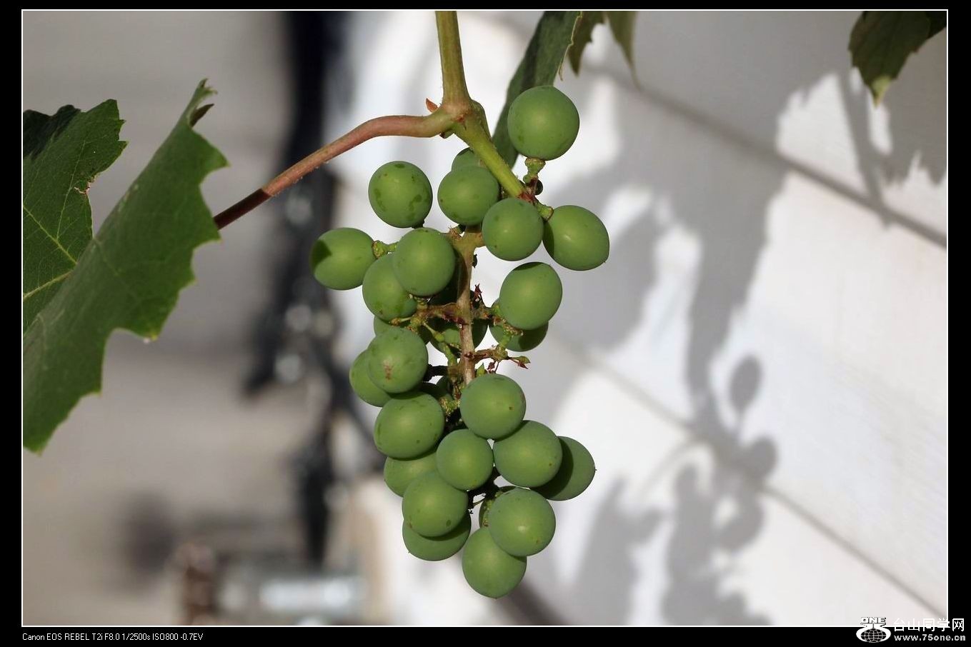 ������С IMG_6734.JPG